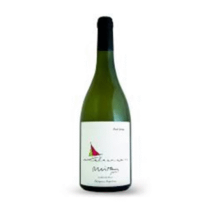 JOVEN PINOT SALVAJE